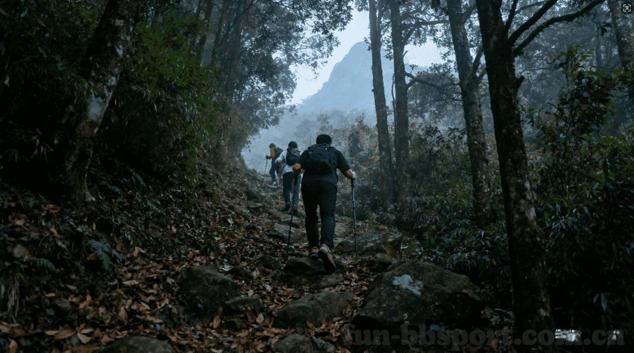 世界杯场馆可以多少人-世界杯场馆的容纳人数，历史变迁与未来展望