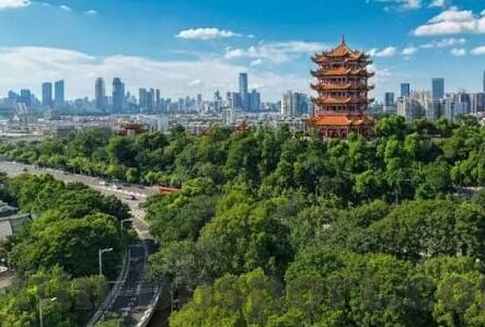 足球比赛排行比分-绿茵烽火，深度解析足球比赛排行与比分的背后故事